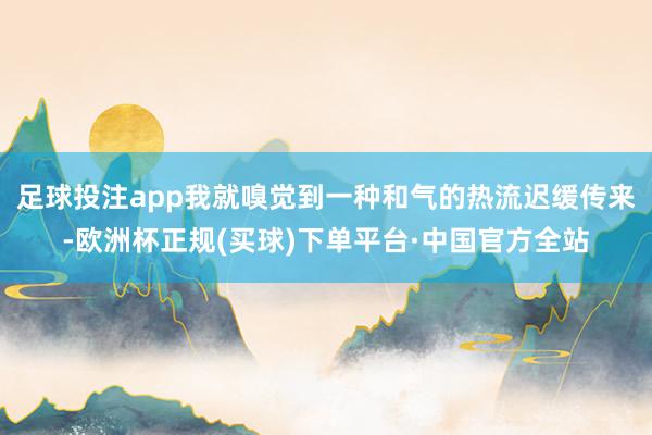 足球投注app我就嗅觉到一种和气的热流迟缓传来-欧洲杯正规(买球)下单平台·中国官方全站