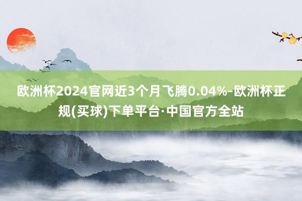 欧洲杯2024官网近3个月飞腾0.04%-欧洲杯正规(买球)下单平台·中国官方全站