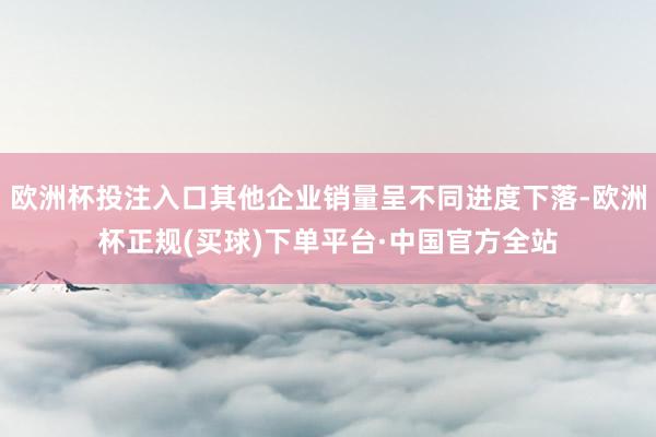 欧洲杯投注入口其他企业销量呈不同进度下落-欧洲杯正规(买球)下单平台·中国官方全站