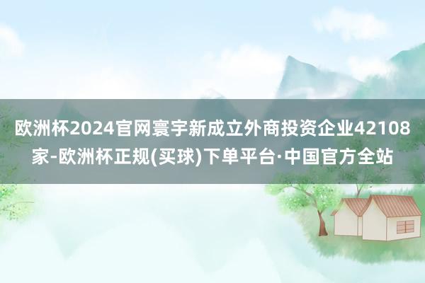 欧洲杯2024官网寰宇新成立外商投资企业42108家-欧洲杯正规(买球)下单平台·中国官方全站