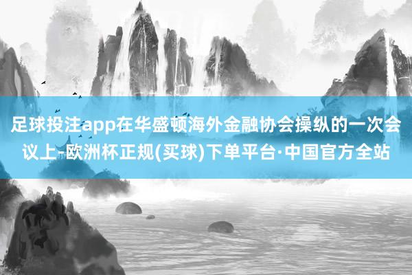 足球投注app在华盛顿海外金融协会操纵的一次会议上-欧洲杯正规(买球)下单平台·中国官方全站