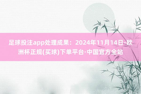 足球投注app处理成果：2024年11月14日-欧洲杯正规(买球)下单平台·中国官方全站