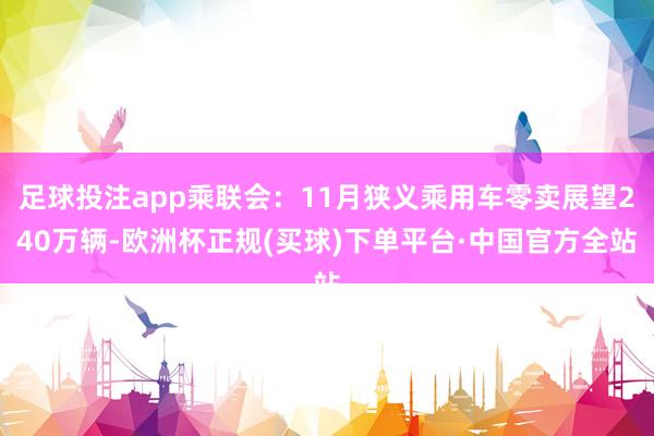 足球投注app乘联会：11月狭义乘用车零卖展望240万辆-欧洲杯正规(买球)下单平台·中国官方全站