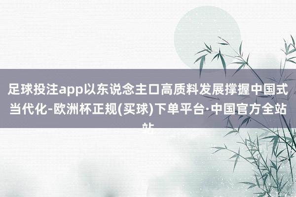 足球投注app以东说念主口高质料发展撑握中国式当代化-欧洲杯正规(买球)下单平台·中国官方全站