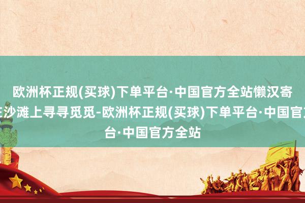 欧洲杯正规(买球)下单平台·中国官方全站懒汉寄居蟹在沙滩上寻寻觅觅-欧洲杯正规(买球)下单平台·中国官方全站