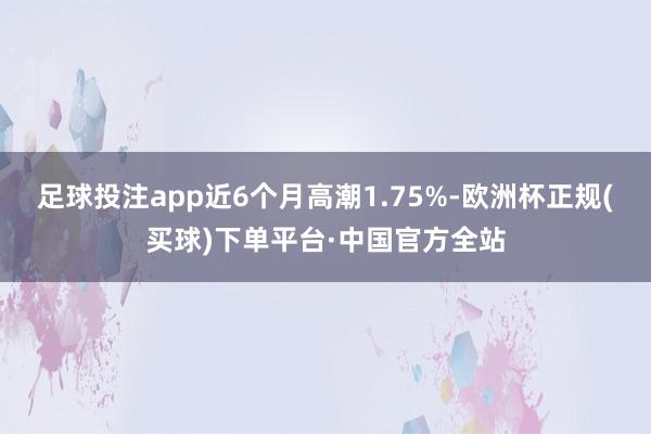 足球投注app近6个月高潮1.75%-欧洲杯正规(买球)下单平台·中国官方全站