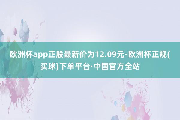 欧洲杯app正股最新价为12.09元-欧洲杯正规(买球)下单平台·中国官方全站