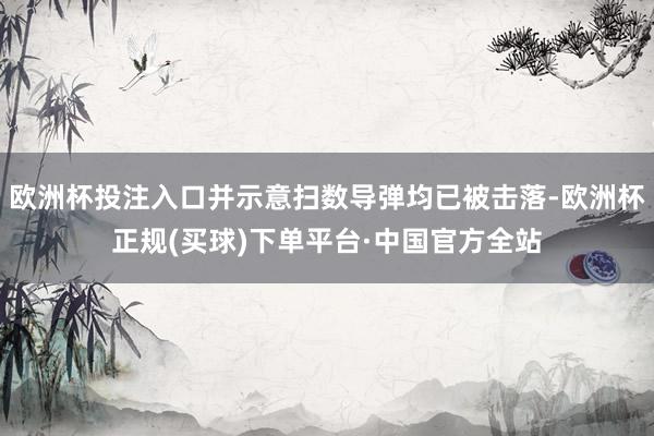 欧洲杯投注入口并示意扫数导弹均已被击落-欧洲杯正规(买球)下单平台·中国官方全站