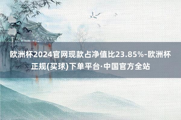 欧洲杯2024官网现款占净值比23.85%-欧洲杯正规(买球)下单平台·中国官方全站