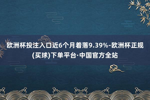 欧洲杯投注入口近6个月着落9.39%-欧洲杯正规(买球)下单平台·中国官方全站