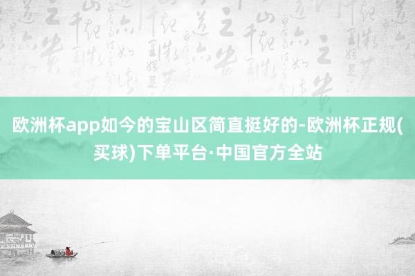 欧洲杯app如今的宝山区简直挺好的-欧洲杯正规(买球)下单平台·中国官方全站